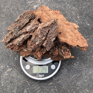 May include: A collection of textured brown bark pieces on a digital scale. The scale shows a weight of 1.1 kg. The bark has a natural, organic appearance, with varying shades of brown and a rugged surface.