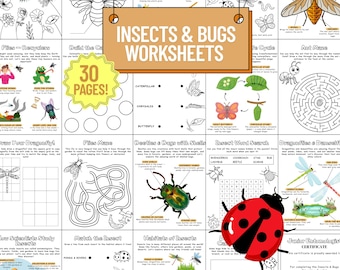 Insects & Bugs Activity Bundle: 30 Science Worksheets (PDF)