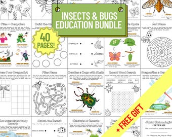 Insects & Bugs Activity Bundle: Preschool Science Worksheets + Coloring Pages (PDF)