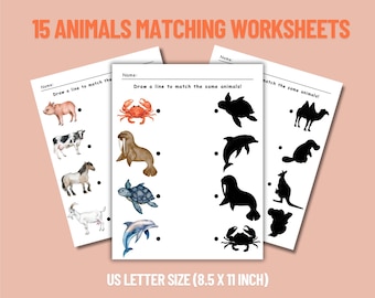 Animal Shadow Matching Game: Visual Discrimination Activity (Printable PDF)