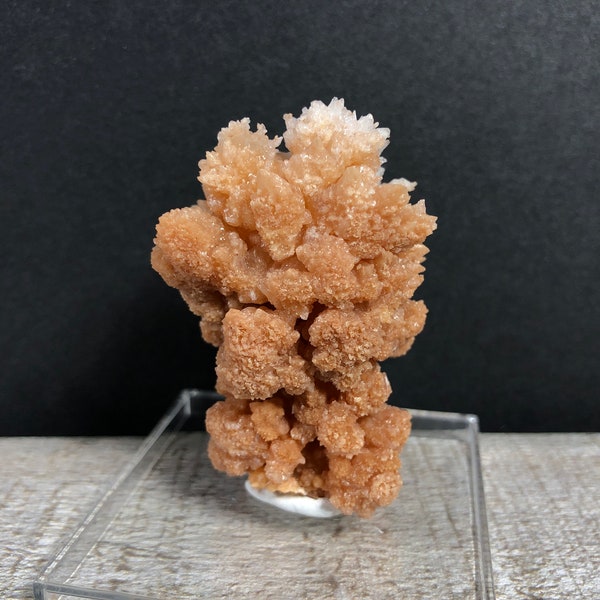 57g  Calcite Stalactite Speleothem w Secondary Crystal Cluster Growth Mineral Specimen Natural Cave Rock w Display Stand and Putty  XP-6