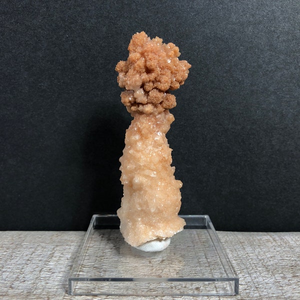 45g  Calcite Stalactite Speleothem w Secondary Crystal Cluster Growth Mineral Specimen Natural Cave Rock w Display Stand and Putty  XP-5