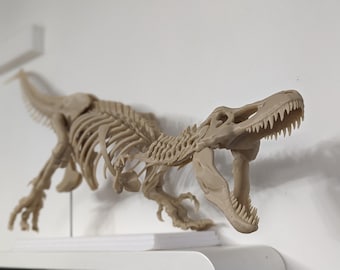 T Rex Dinosaur Skeleton Fossil 60cm self assembly kit