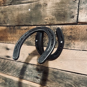 Horseshoe Hat Hangers