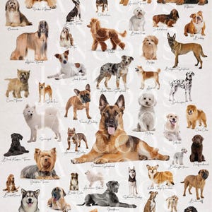 Dogs of the World, Digital Printable, Dog Poster with Names, Book Jacket, Gift Wrap