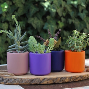Concrete Planter, Minimalist Plant Pot, Succulent Planter, Cactus Planter, Indoor Planter, Concrete Plant Pot, Housewarming Gift