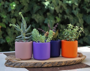 Betonnen plantenbak, minimalistische plantenpot, sappige plantenbak, cactusplanter, kamerplanter, betonnen plantenpot, housewarming cadeau
