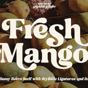 Fresh Mango - Retro Serif Schriftart, Elegante Schriftart, Canva Schriftart, Moderne Schriftart, Boho Schriftart, Logo Schriftart, Groovy Schriftart, Silhouette Schriftart