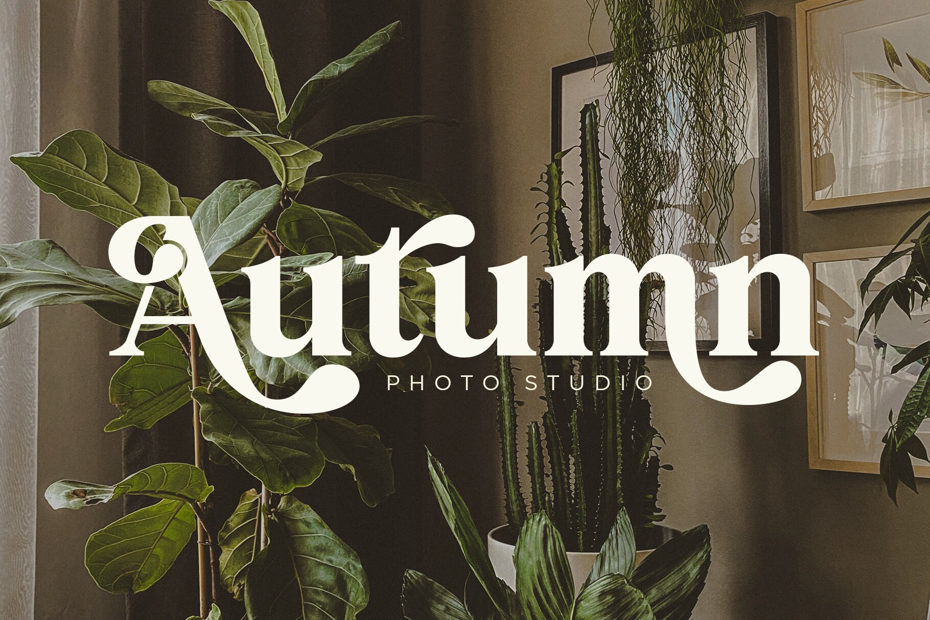 Thimble Village Retro Serif Font Elegant Font Canva Font Etsy