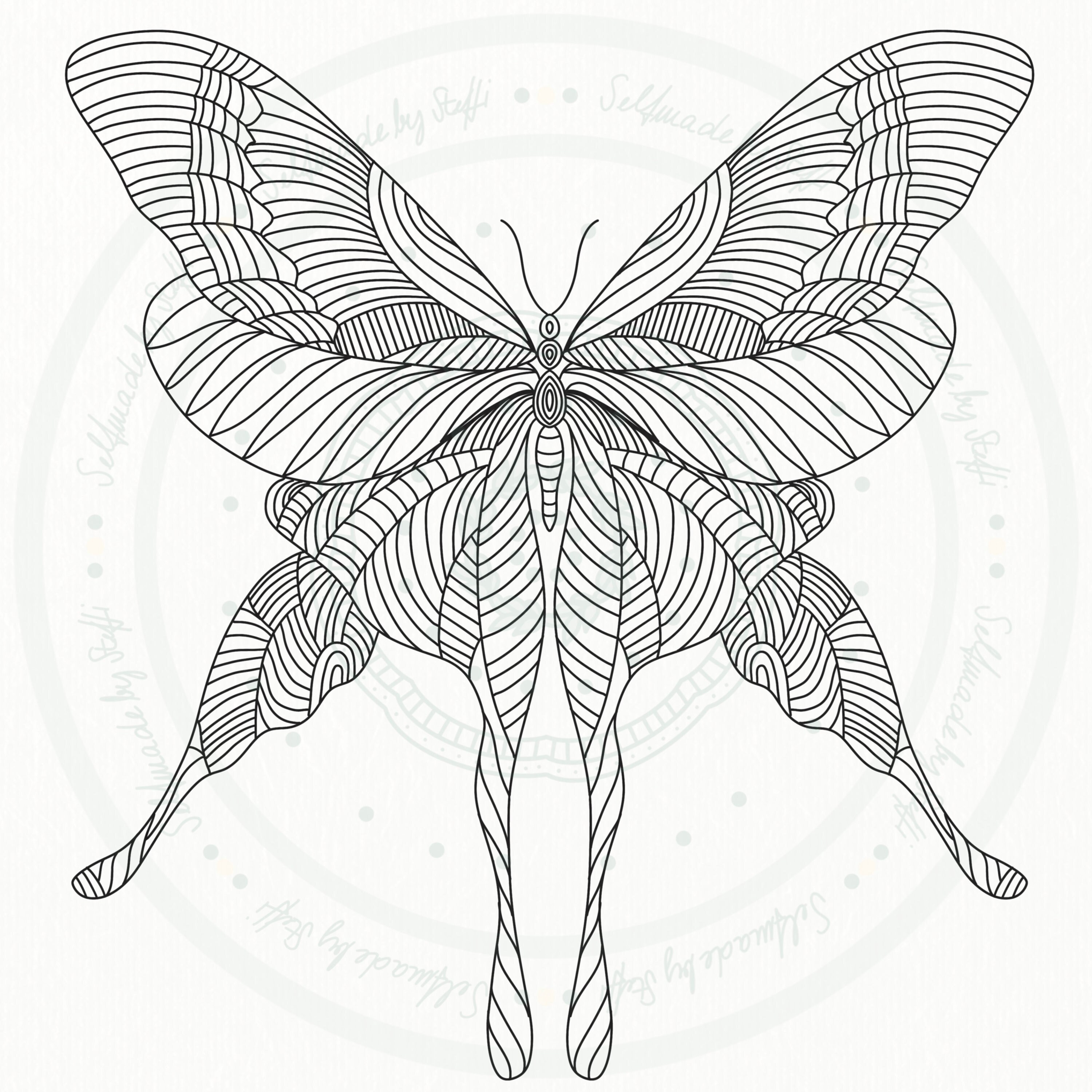  Butterfly Coloring Page - Etsy Motiv 