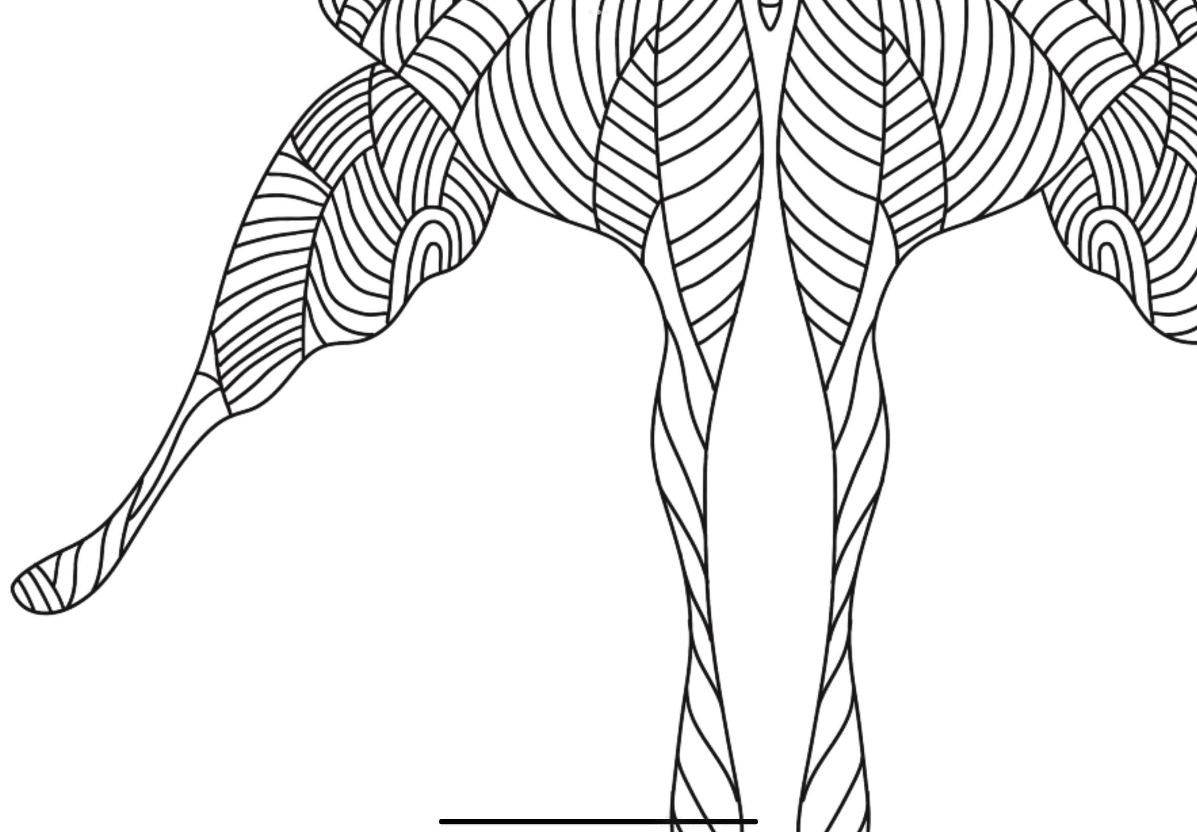  Butterfly Coloring Page - Etsy Illustration 