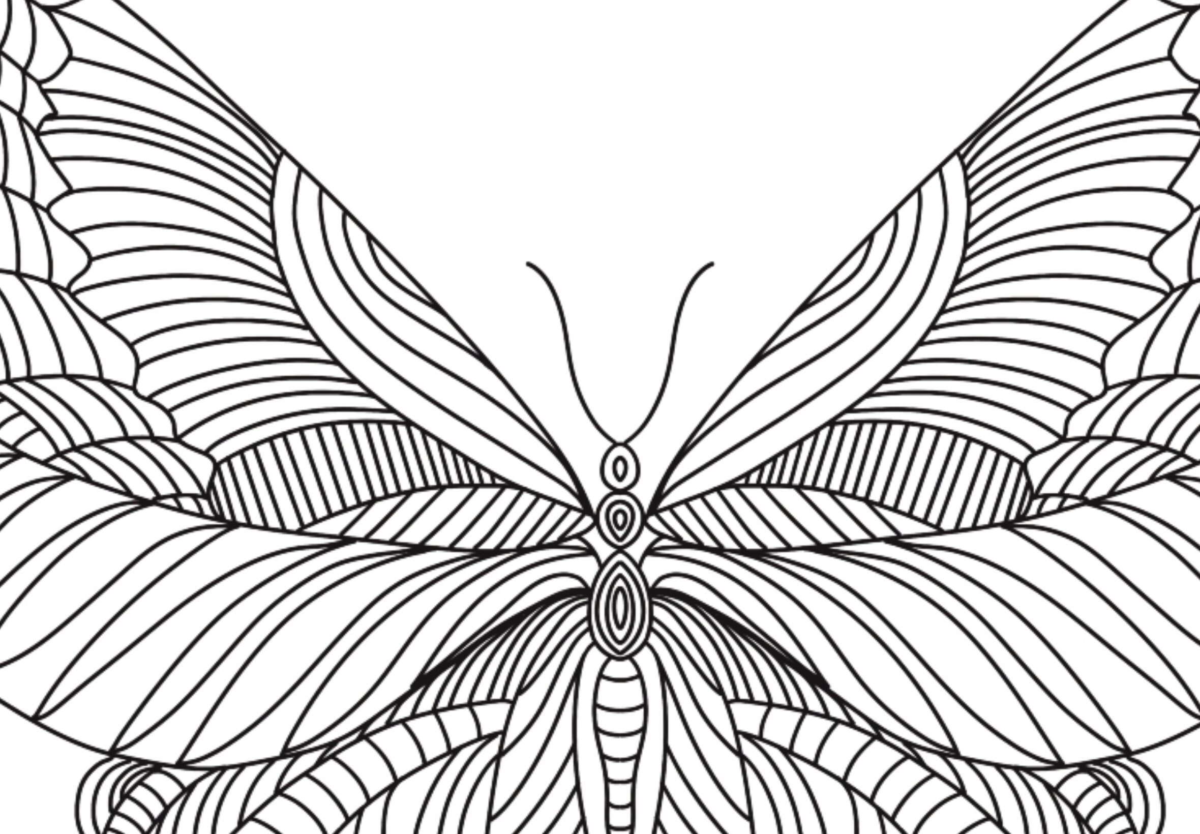 Butterfly Coloring Page - Etsy Bildidee 
