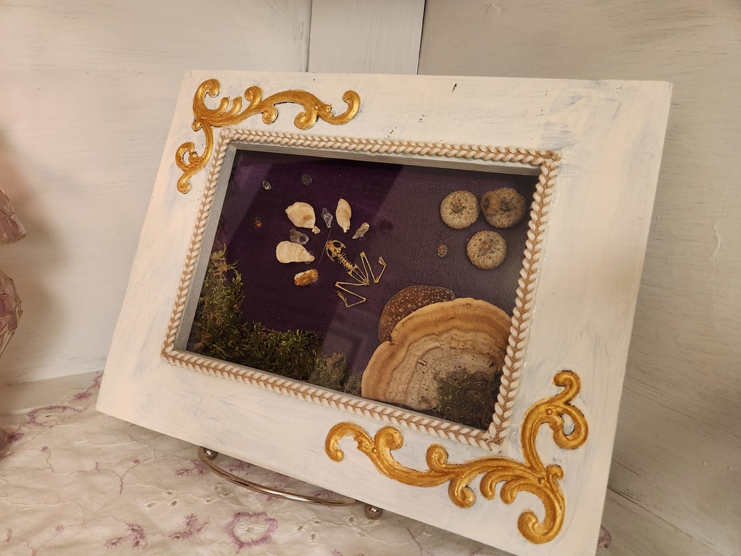 Oddity Art Real Frog Skeleton W/ Moss Mushrooms & Crystals Etsy