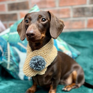 Harris Wool Winter Dog Snood, Beige Green pom, Cold Weather Dog outfit, Knitted Scarf, Dachshund Festive Clothing, Holiday wear, Sausage Dog