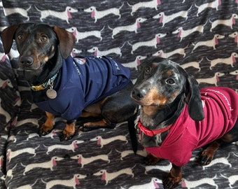 Charity Branded Hoodie, Hoody, Jumper, Cold Weather outfit, Dachshund Clothing, Holiday outfit, Sausage Dog, Red, Blue, Navy