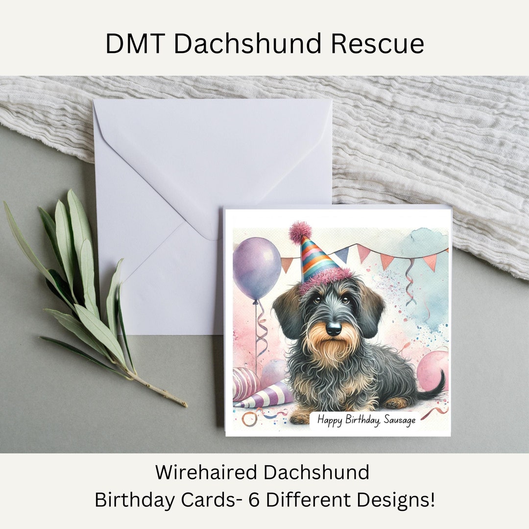 Wirehaired Dachshund Birthday Card – Happy Birthday Sausage Dog – 6 ...