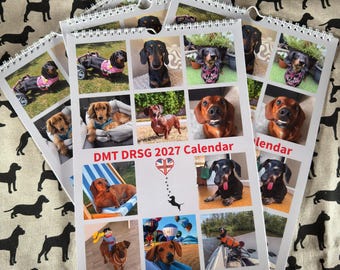 2027 A4 Hanging Dachshund Calendar, Rescue Dogs, Charity Fundraising