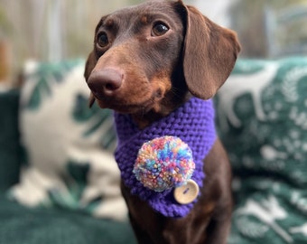Winter Dog Scarf Purple, Snood, Cold Weather Dog outfit, Knitted Christmas Scarf, Dachshund Festive Clothing, Holiday outfit, Sausage Dog