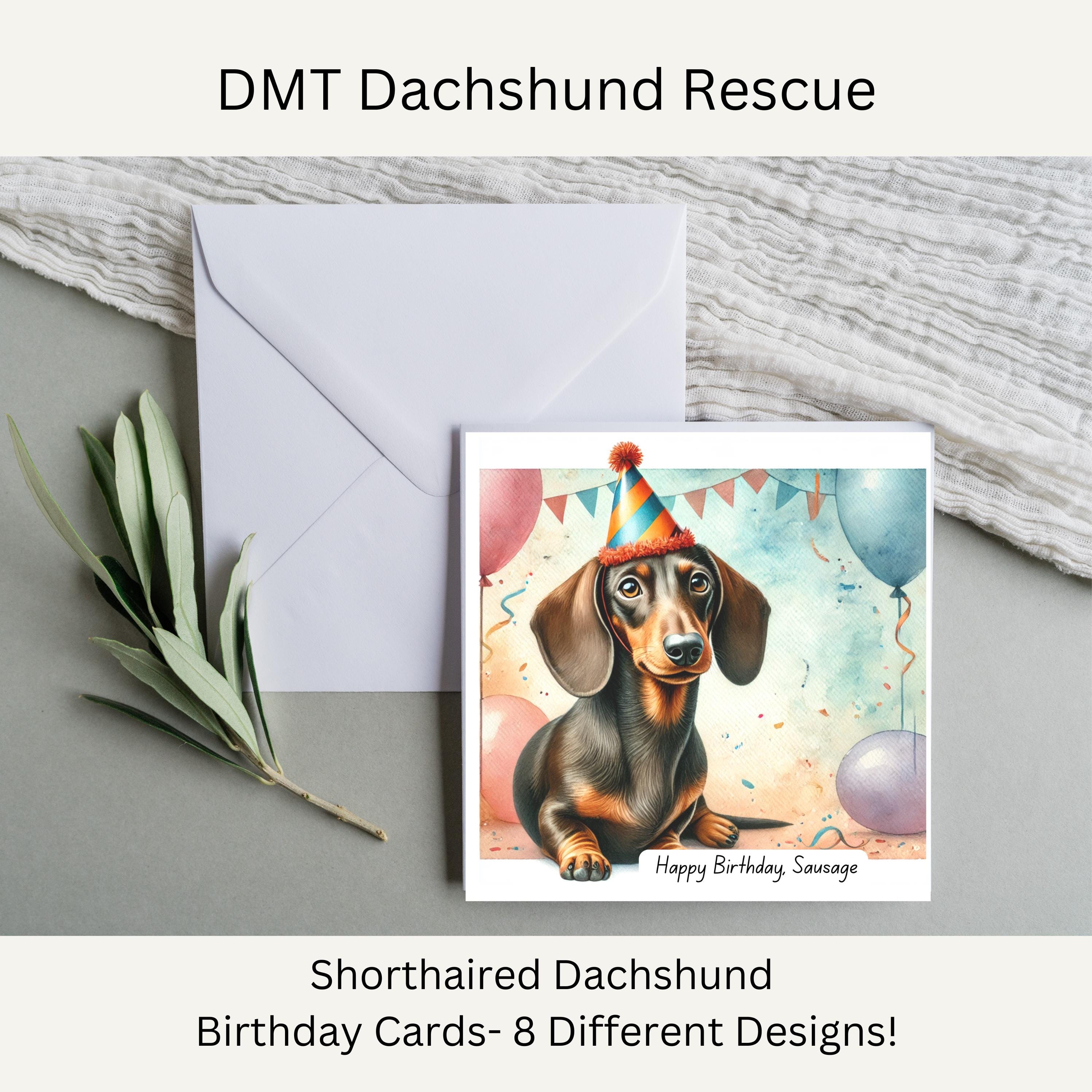 Shorthaired Dachshund Birthday Card – Happy Birthday Sausage Dog – 8 ...
