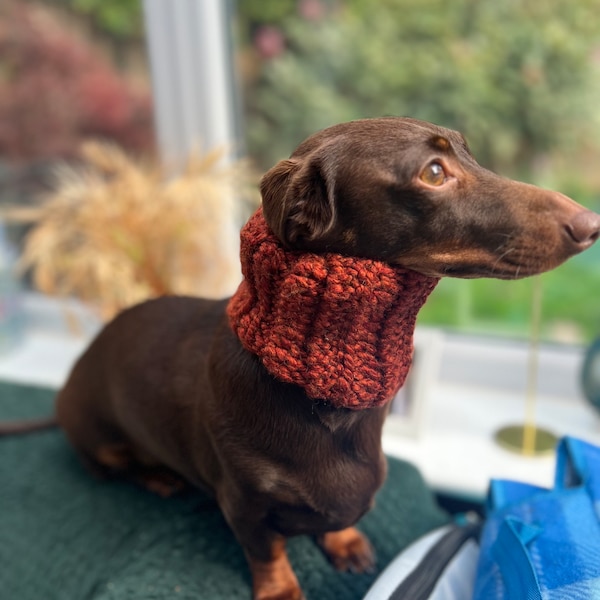 No Pom Pom Winter Dog Snood, Pet Scarf, Cold Weather Dog, Knitted Christmas, Dachshund Festive Clothing, Holiday outfit, Sausage Dog