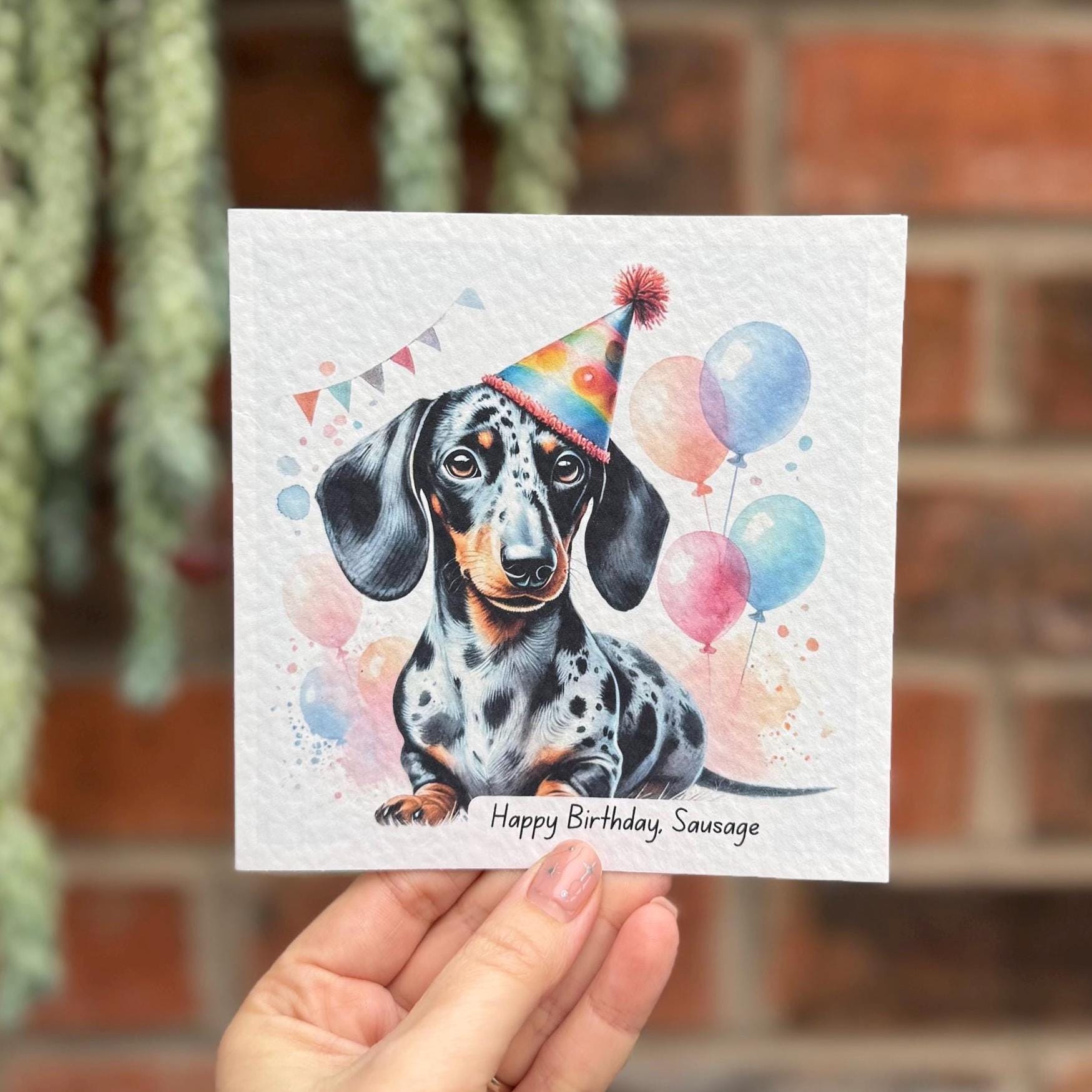 Shorthaired Dachshund Birthday Card – Happy Birthday Sausage Dog – 8 ...