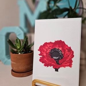 Impressão em aquarela feita à mão de flor de papoula vermelha | Cinco cartões com envelopes