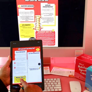 May include: A tablet displaying "Ultrasound Learning Lab" content is held in front of a computer screen with anatomy diagrams. The tablet shows fill-in-the-blank questions and a list of ECA branches. A stylus points to the screen. The scene is set on a pink desk.