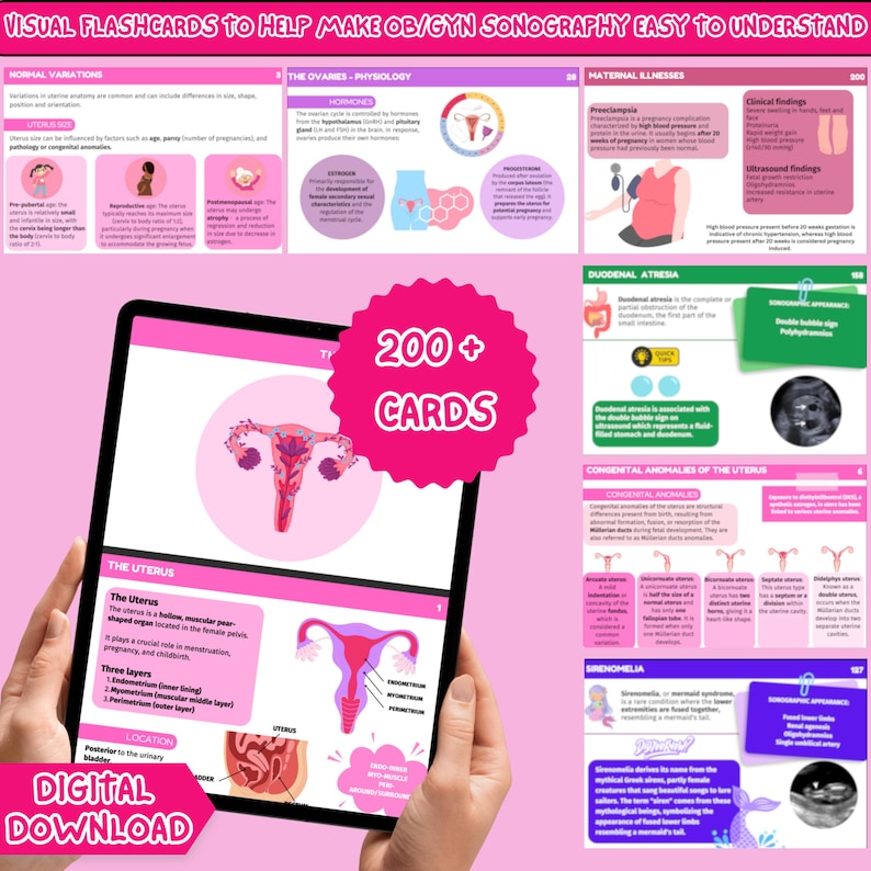 Obstetrics & Gynecology Ultrasound Digital Flashcards | OBGYN ...