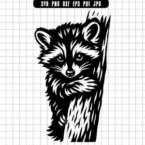 Raccoon Svg, Raccoon Peeking Svg, Raccoon Tree Svg, Animal Svg, Woodland Svg, Cut File, Clipart, Svg File, Cricut, Instant Download