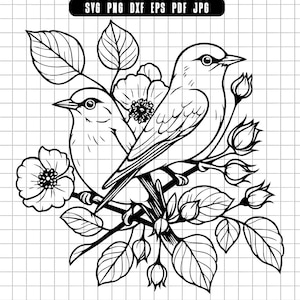 Birds On Branch Svg, Floral Birds Svg, Nature Bird Svg, Bird Couple Svg, Bird Clipart Svg, Bird Cut File