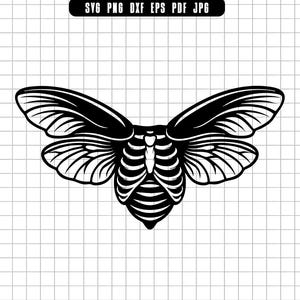 Death Moth Skeleton Wings Vector, Gothic Insect Svg, Occult Luna Moth Clipart For Cricut And Alternative Tattoo Design