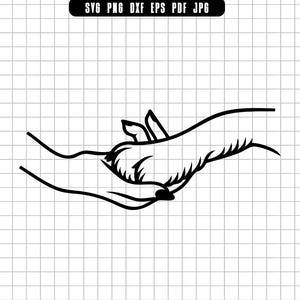 Hand Paw SVG, Dog Hand PNG, Pet Love DXF Cut File, Animal Friendship Clipart, Paw in Hand Silhouette Digital File