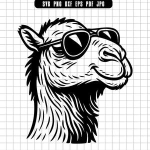 Cool Camel Svg, Camel Png, Camel Cut File, Clipart, Digital Download, Silhouette, Cricut File
