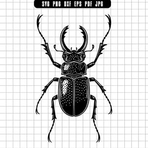 Stag Beetle Svg, Insect Silhouette Svg, Beetle Svg, Entomology Svg, Bug Svg, Detailed Insect Svg, Cut File, Clipart
