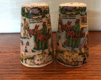 Ceramic New Mexico Souvenirs Salt and Pepper Shakers