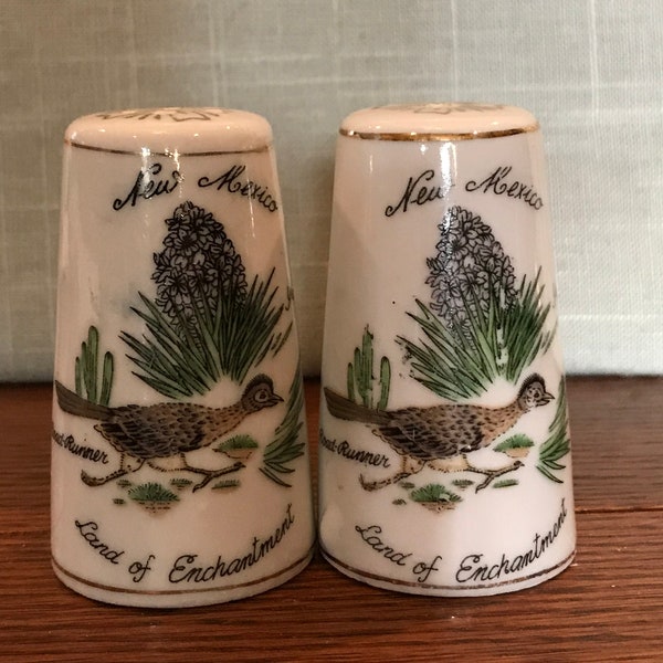 Souvenir - New Mexico Salt and Pepper Shakers