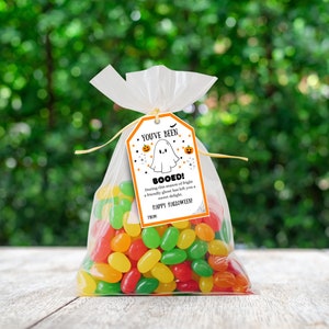 May include: A clear cellophane bag filled with colorful jelly beans, tied with a raffia bow, and a tag that reads "You've Been Booed!" with a ghost illustration. The tag also includes the text "Happy Halloween!"