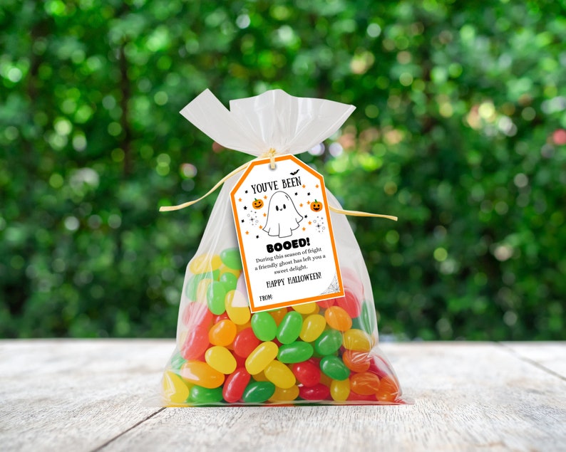 May include: A clear cellophane bag filled with colorful jelly beans, tied with a raffia bow, and a tag that reads "You've Been Booed!" with a ghost illustration. The tag also includes the text "Happy Halloween!"