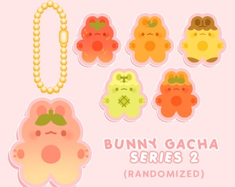 Bunny Gacha [Series 2] Random Acrylic Keychain | Double-Sided Kawaii Acrylic Charm | Blind Bag | 1.5&quot;