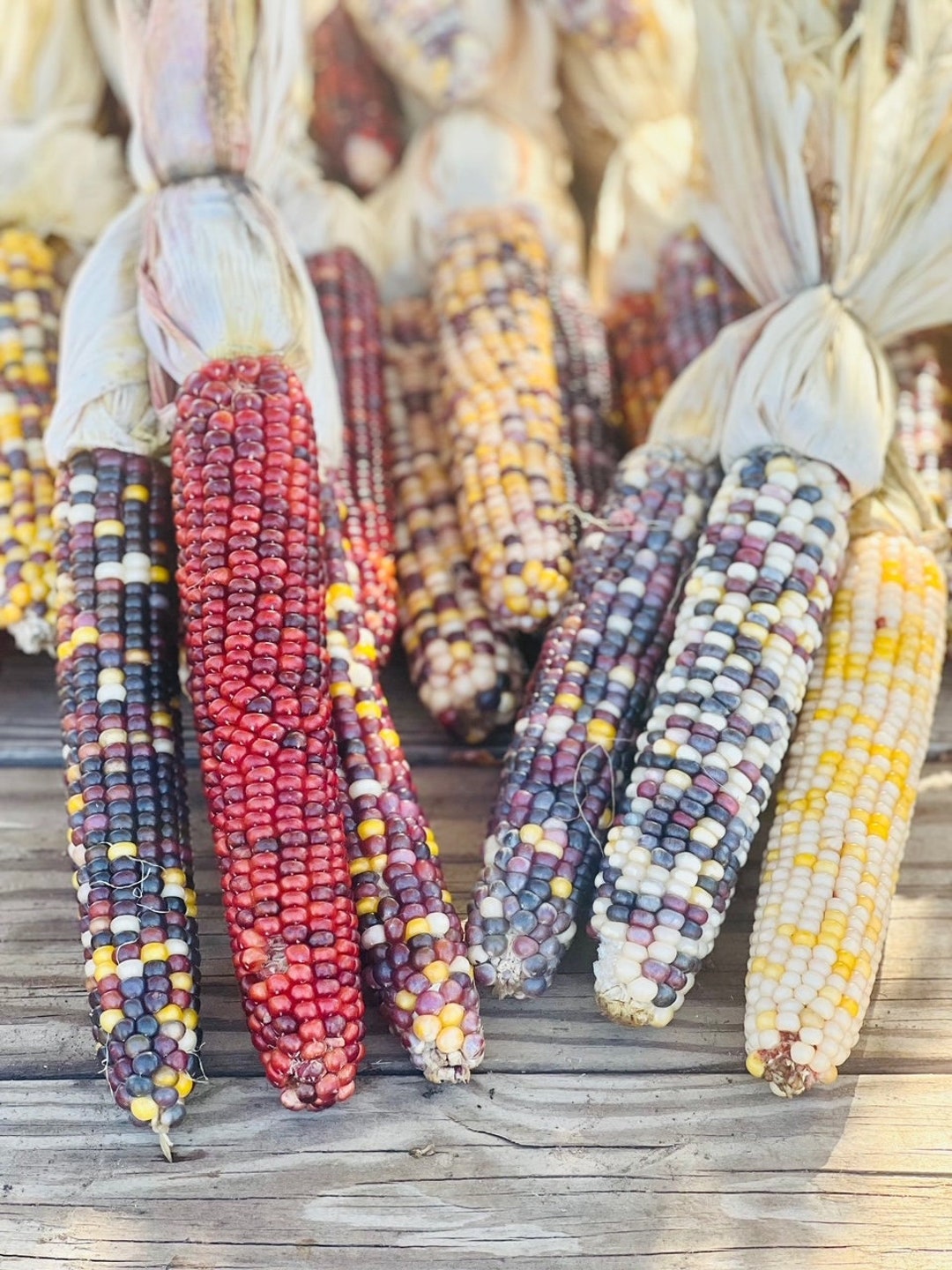 Beautiful Glass Gem Indian Corn Bundle of 3 Ears Ornamental - Etsy