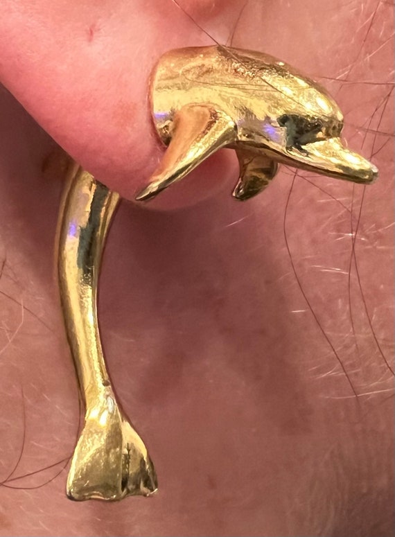 Gold Plated Illusion Dolphin Earrings