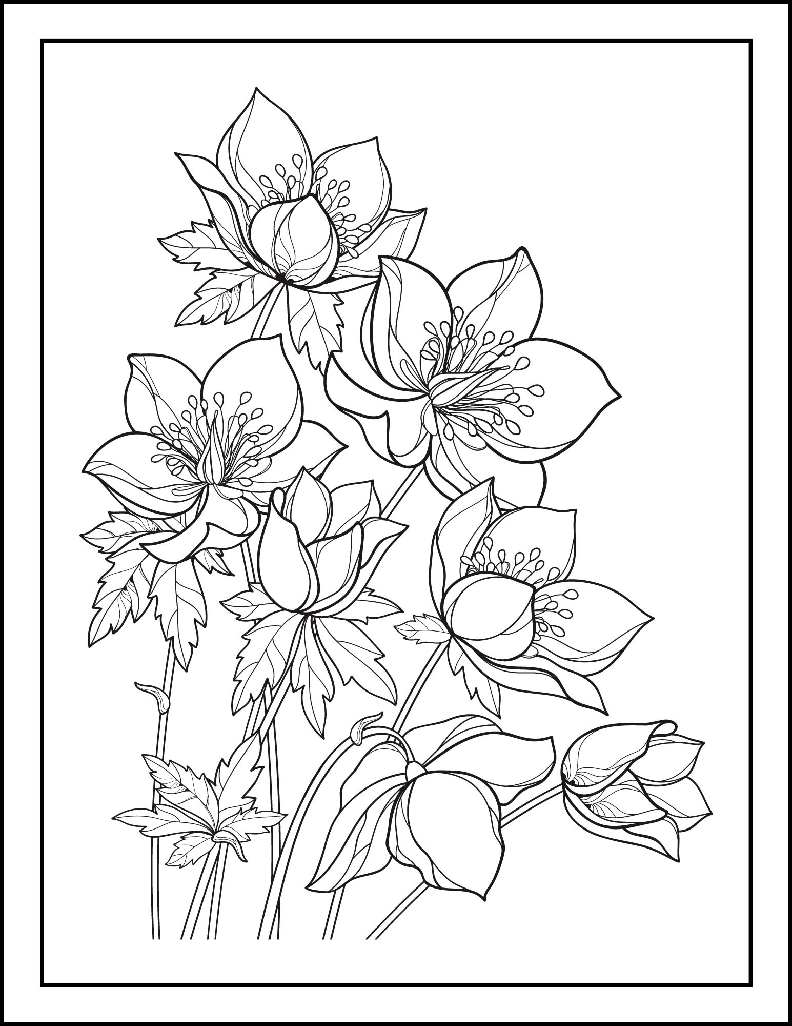 Printable Flower Themed Coloring Pages, for Adults or Kids Digital ...