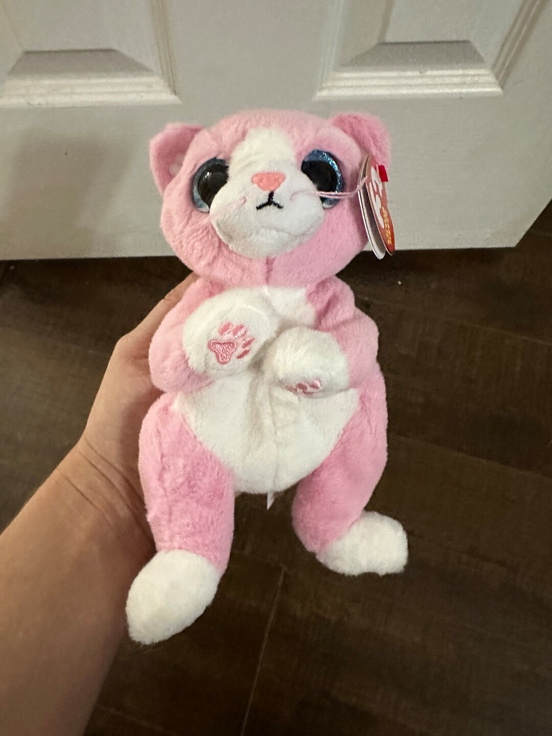 Ty Beanie Boo Morticia Cat – Orange Halloween Plüschtier – Weicher Kuschelkater, 2022 Edition