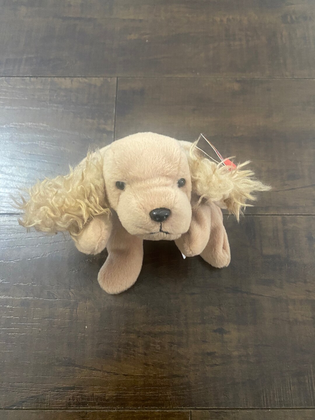 TY Spunky Beanie Baby Etsy