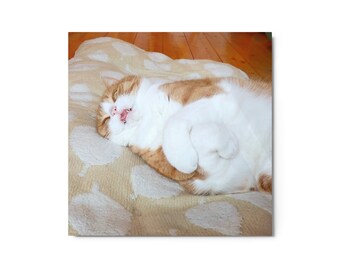 Napping Cat Metal Prints, Home Decor, Wall Art, Wall Decor, Gift For Grandma handmade interior design wall hangings