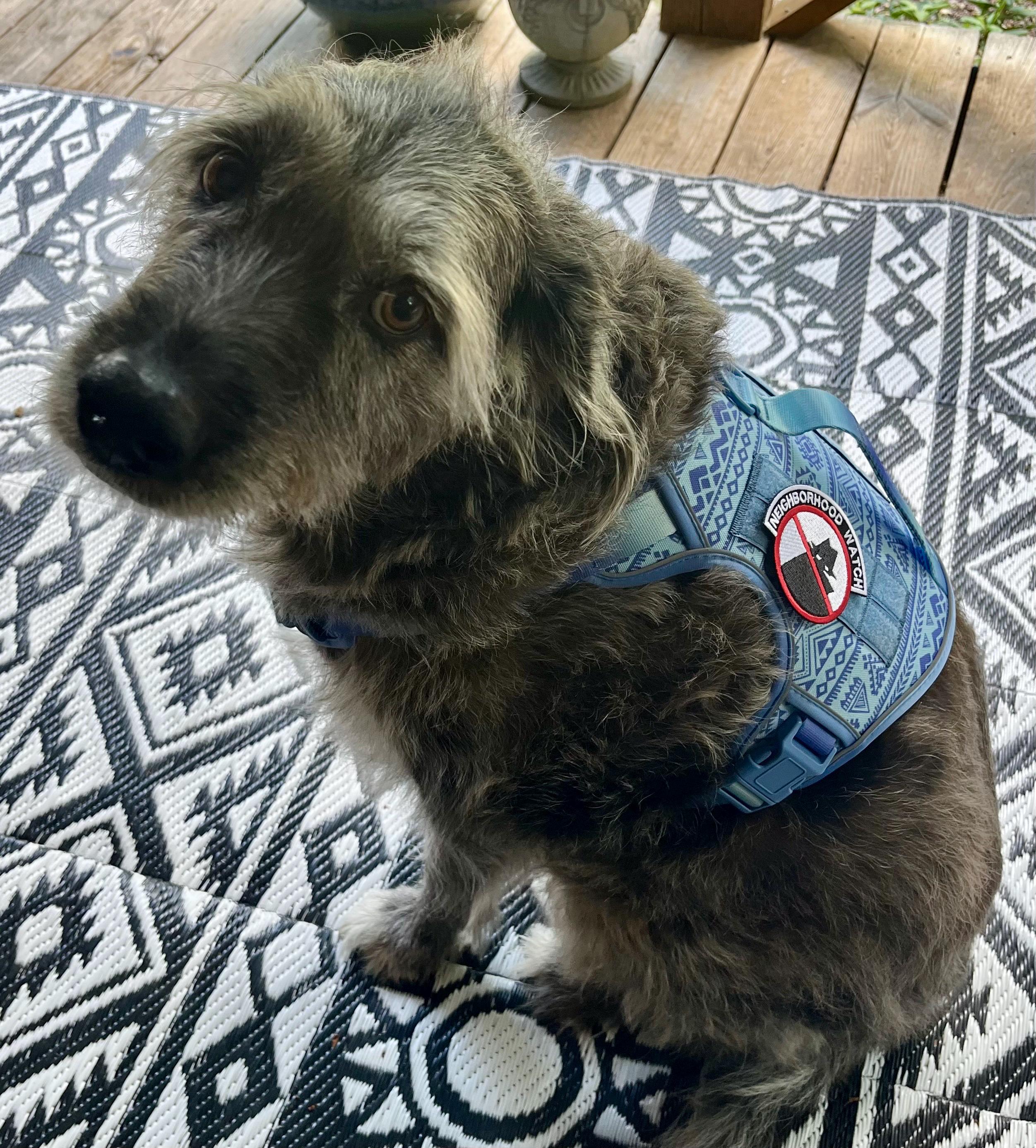 Neighborhood Watch Patch - Etsy