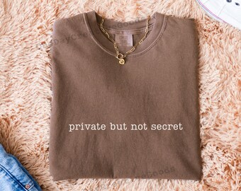 Comfort Colors "Private But Not Secret" Sarcastic Introvert Tee
