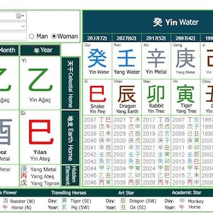 Persönliches Bazi Diagramm Vier Säulen des Schicksals von Feng Shui Meister