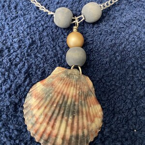 Seashell necklace