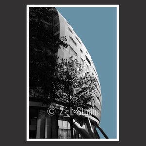 May include: A black and white photograph of a modern building with a curved facade. The building is partially obscured by a tree in the foreground. The sky is a light blue colour.